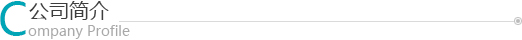 公司简介