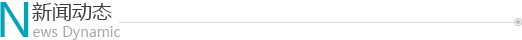 新闻动态
